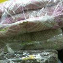 에코빌세탁소 이미지