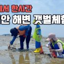 마시안어촌체험·휴양마을 네이버블로그