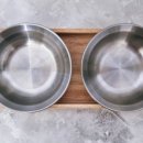 박영재 동물병원 이미지