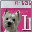 어니얼리 이미지