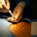 강남세종한의원 이미지