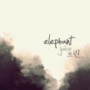 엘리펀트 이미지