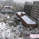 분홍빛으로병원 이미지