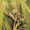 상단농장 이미지