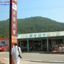 전라남도 여행지 추천 - 진도여행 일번지 - 운림산방, 소치 허련선생이 그림을 그리던곳