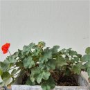 송정행정사사무소 이미지