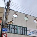 포데로사블루게스트하우스 | [포항숙소/죽도시장근처] 포데로사 블루 게스트하우스 가격 위치 내부 후기