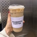 합정역 매머드커피 - 로얄밀크티 아이스 마셔본 후기