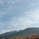 백아면사무소 이미지