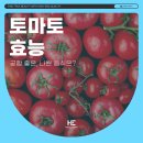 토마토성형외과의원 네이버블로그