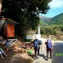 상순이 쉼터 이미지