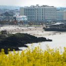 호텔더스테이 이미지