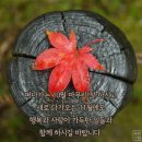 ❒10월31일 목요일 간추린 아침 소식❒ 이미지