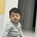 빅부라더 | 대충 사는 법도 생각보다 어렵다
