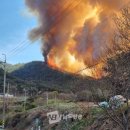 으잉!! 체리밭에 불났다.... 순천 산불 3단계발령.... 이미지