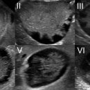 이레동물병원 이미지
