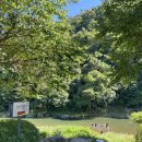 무릉도원면-42 이미지