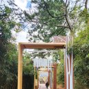 신년 해맞이 | 울진 여행 왕피천 케이블카 해맞이 공원 코스 후기