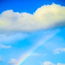 오태식해바라기치킨 이미지