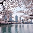 11월 15일 ＜길 위의 인문학 우리 땅 걷기＞ 40주년 기념행사를 서울에서 개최합니다. 이미지