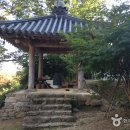 죽림암 Daum카페