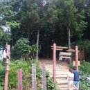 탐진강메기탕 | 장흥 정남진 편백숲 우드랜드&탐진강메기탕 1박2일에서 떴다~장흥 편백숲 우드랜드