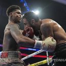 J World boxing 이미지