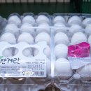 당진계란