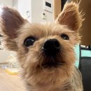 태정헬스 | ㅎㅌㅈ요즘머하고사냐 (1월 결산 !)