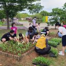 승촌보캠핑장 이미지