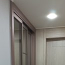 브라운포레