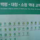 백령 중화동교회 이미지