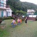 색채의 숲 이미지