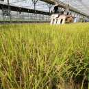 임금축산 이미지