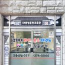 라이온스태권도 이미지