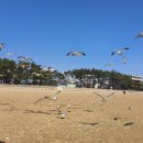 몽산포민박 이미지