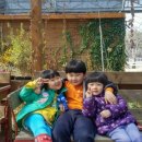 삼남매농장 이미지