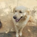 예당레이크하우스 이미지