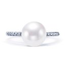 아도니스 이미지