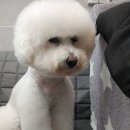 미니마리수원