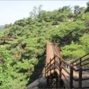 진관-008 이미지