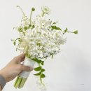 (주)한국프리저 | 부케 프리저빙으로 변색 없는 부케유리돔 만들기 안산 성남 분당 히야신스 부케 기프트 리부케 프리저빙...