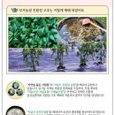 순정농장 이미지