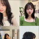 드디어 인생 머리 찾았다! 천안미용실 이룸헤어 리얼 후기