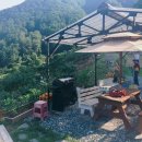 파아란 숲길 펜션 이미지