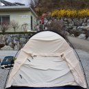 폭스그라운드 이미지