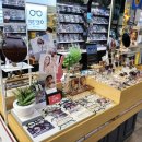 이안경원 이미지