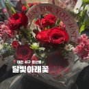 대전 둔산동 꽃집 추천 어버이날 빨간 카네이션 꽃다발 픽업 솔직 후기