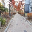 더샵명가공인중개사사무소 이미지