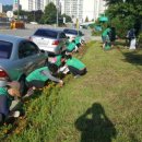 온양4동 온천대로 이미지